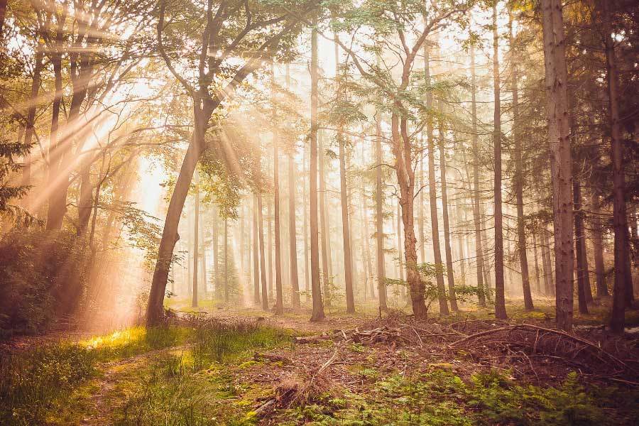 十五运会科技成果向城市治理领域延伸
